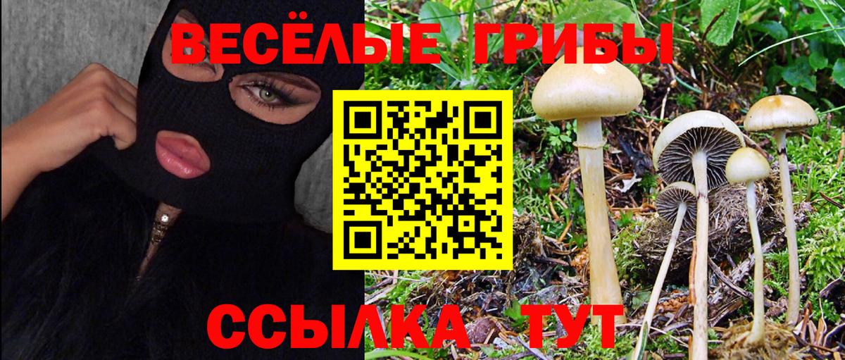 Галлюциногенные грибы Cubensis  Псилоцибиновые грибы Cubensis  Железноводск  Вход с VPN 